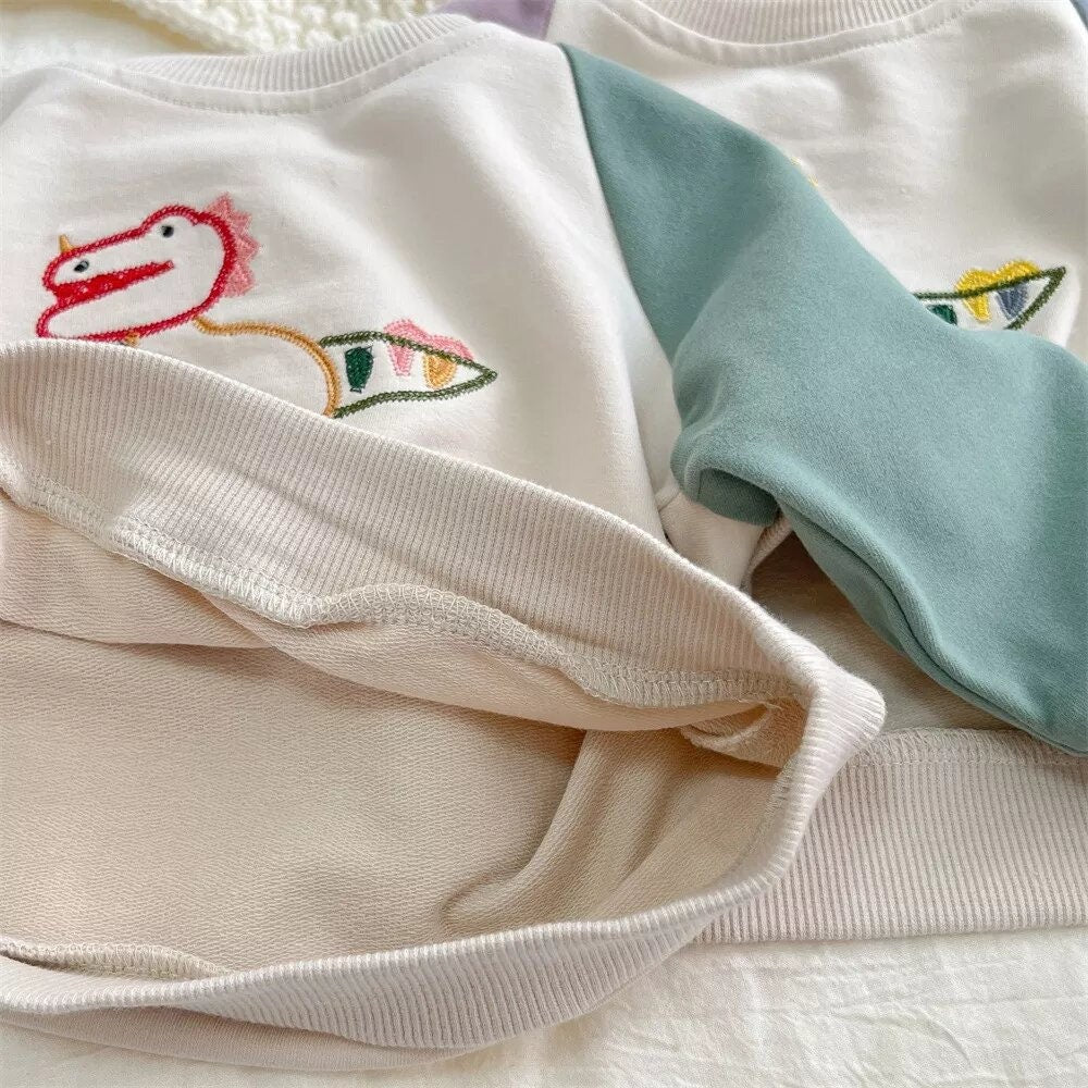 Cute Embroidered Dino Sweatshirt for Baby/Toddler. Bubble Sweatshirt